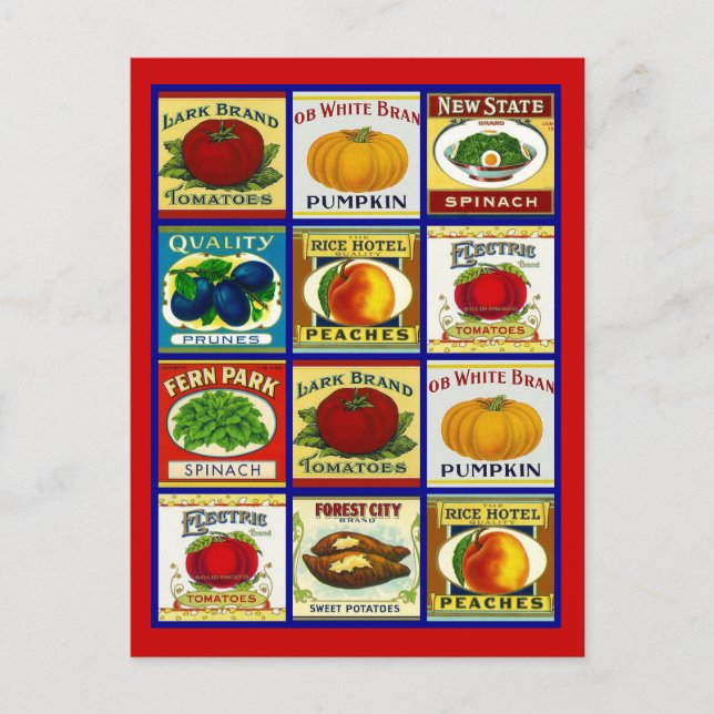 Carte postale Recette Conception Pour Partager Fav (Devant)