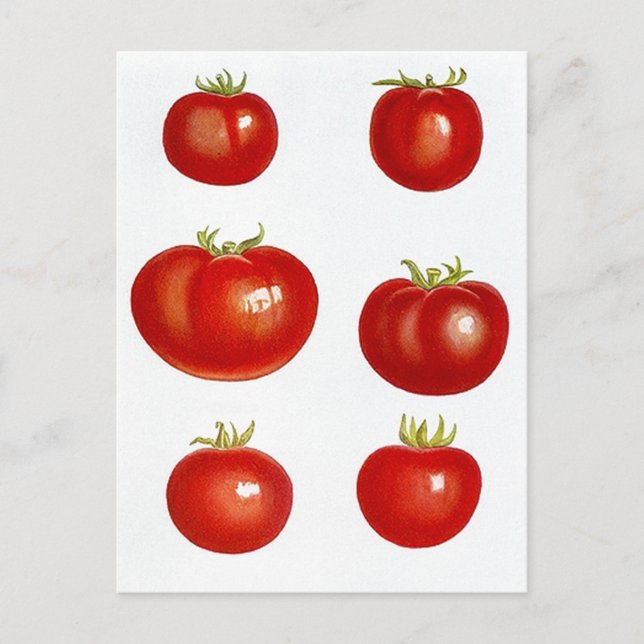 Carte postale Recette Conception Pour Partager Fav (Devant)