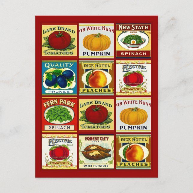 Carte postale Recette Conception Pour Partager Fav (Devant)