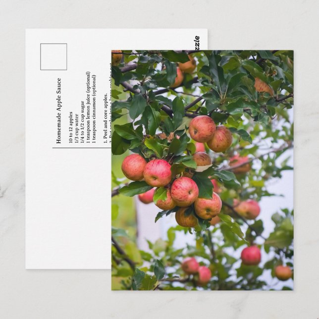 Carte Postale Recette de sauce pomme (Devant / Derrière)