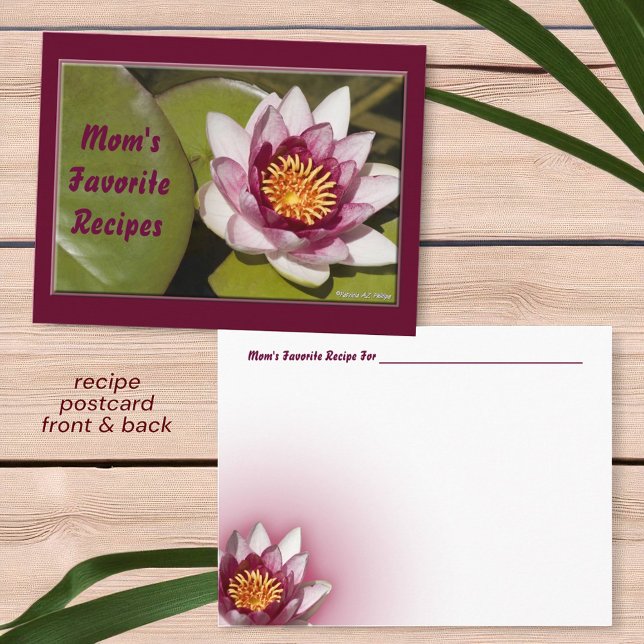 Carte Postale Recette photo délicieuse de l'eau rose Lily (front and back postcard recipe card )