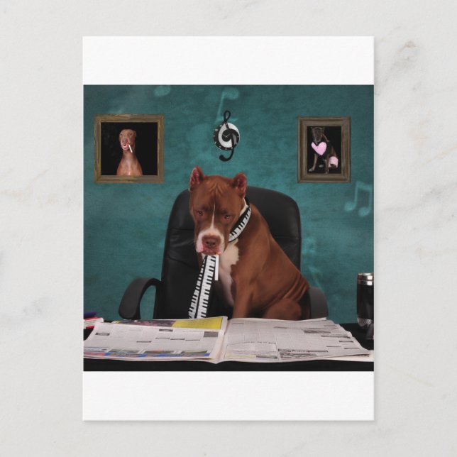 Carte Postale Recherche de talent (Devant)