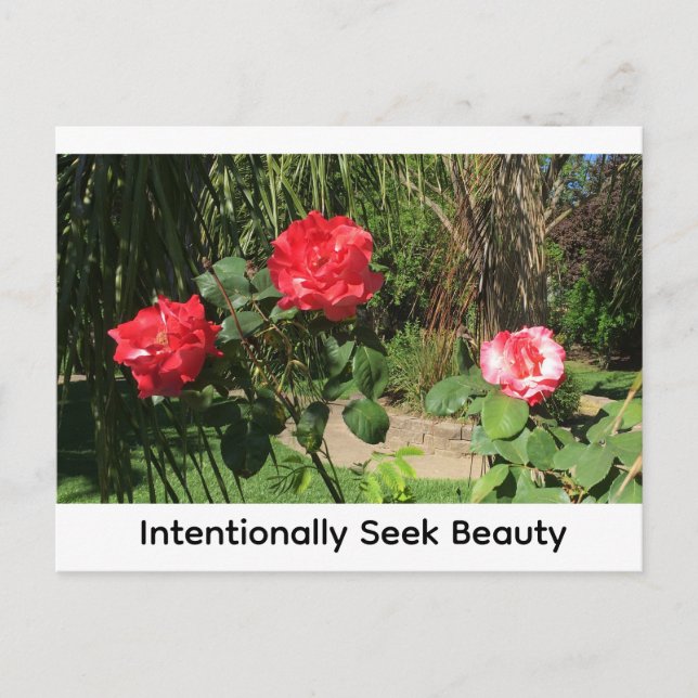 Carte Postale Rechercher intentionnellement la Beauté (Devant)