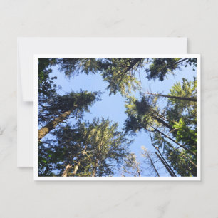 Carte Postale Recherchez 