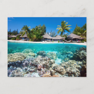 Carte Postale Récif corallien et une station balnéaire tropicale