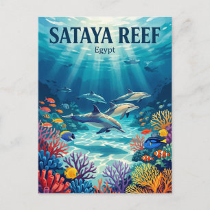 Carte Postale Récif de Sataya Egypte