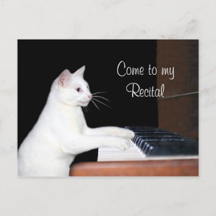 Carte Postale récital de piano de chat