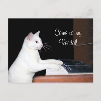 Carte Postale récital de piano de chat