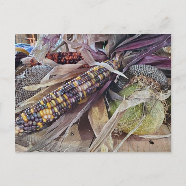 Carte Postale Récolte (Devant)