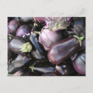Carte Postale Récolte d'aubergines pourpres sur le marché