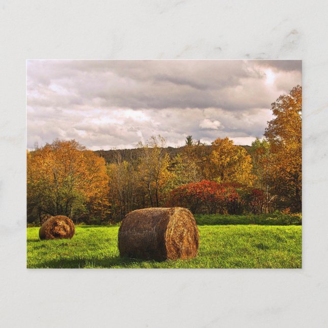 Carte Postale Récolte d'automne (Devant)