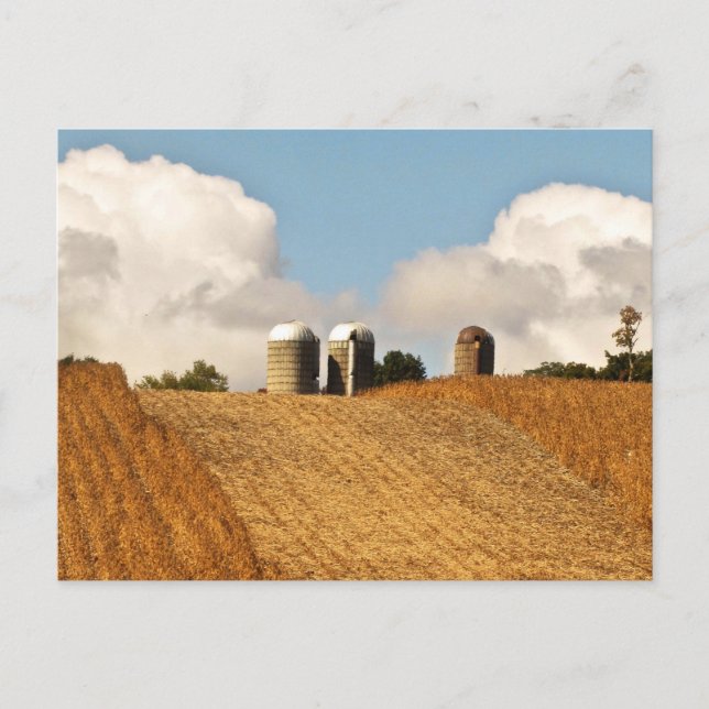 Carte Postale Récolte de céréales (Devant)