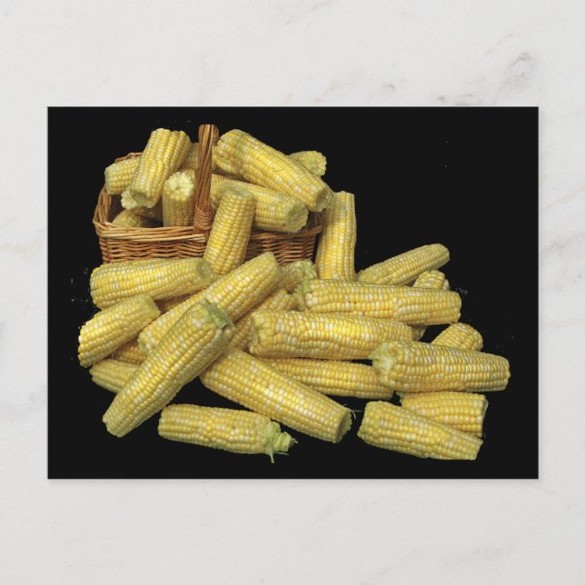 Carte Postale Récolte de maïs (Devant)