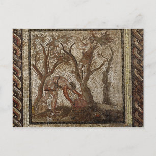 Carte Postale Récolte de raisins, de Saint-Romain-en-Gal