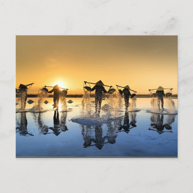 Carte Postale Récolte de sel au Vietnam (Devant)