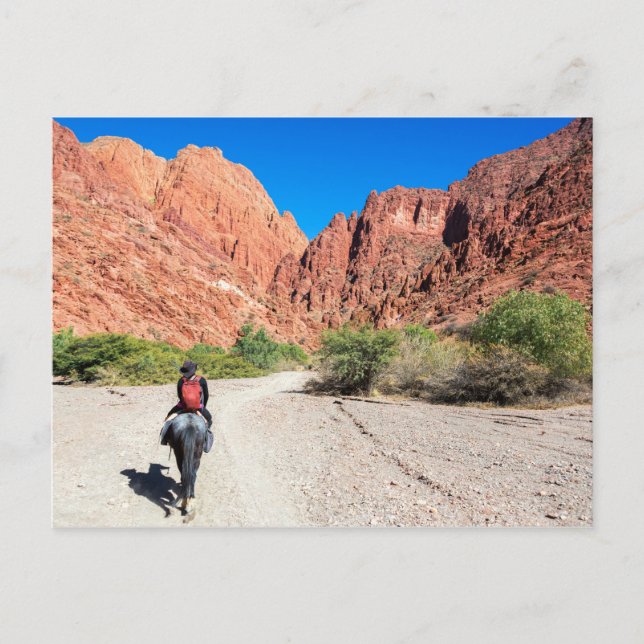 Carte Postale Recorriendo los valles de Tupiza, Bolivie. (Devant)