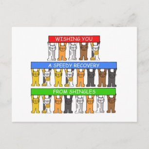 Carte Postale Récupération rapide à partir de bardeaux, chats de