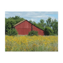 Carte postale Red Barn