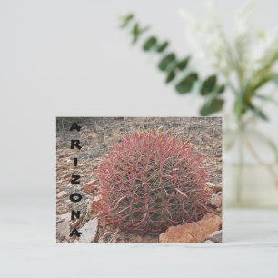 Carte Postale Red Barrel Cactus Plante du désert Arizona Salutat