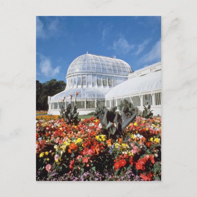 Carte Postale Red Belfast, Palm House, Jardins botaniques, Irlan (Devant)