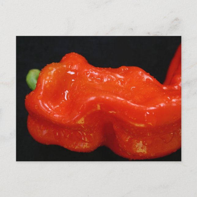 Carte Postale Red Bell Pepper (Devant)