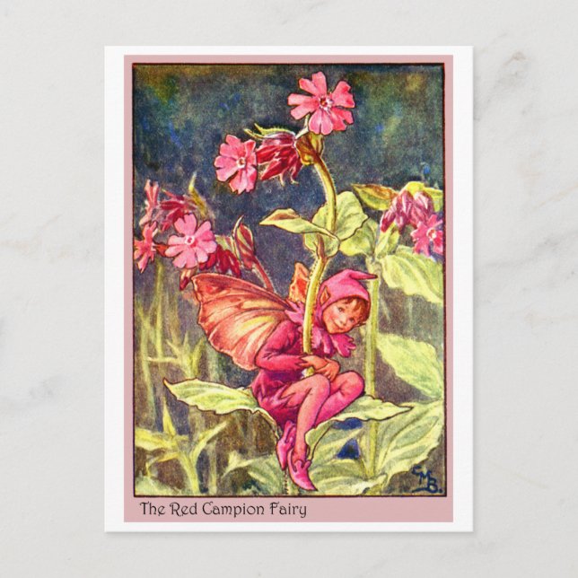 Carte Postale Red Campion Fairy (Devant)