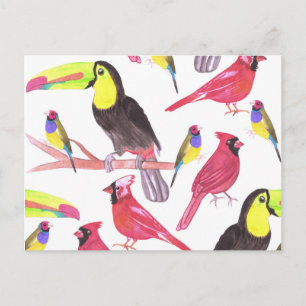 Carte Postale Red cardinals, toucans et gouldian finches