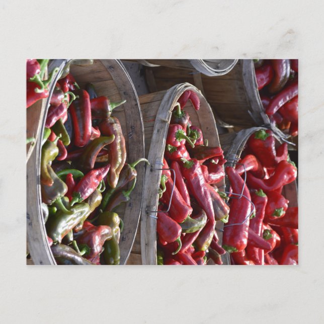 Carte Postale Red Chili (Devant)