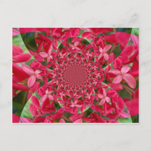 Carte postale Red Crimson Modèle horizontal