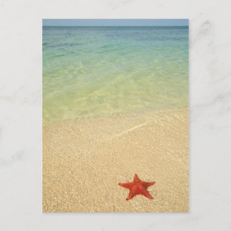 Carte Postale Red Cushion | Trinidad, Cuba
