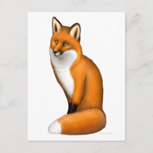 Carte postale Red Fox