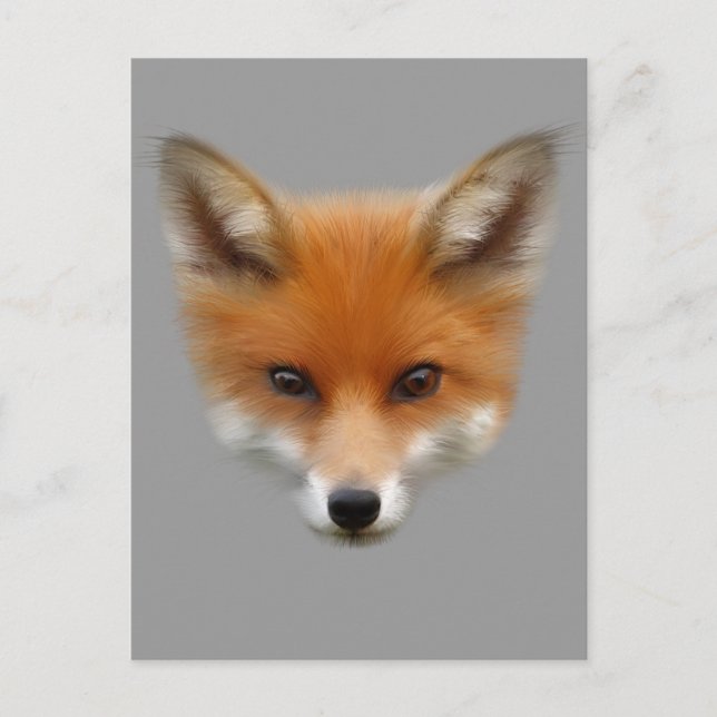 Carte postale Red Fox (Devant)