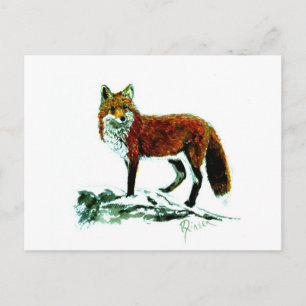 Carte postale Red Fox