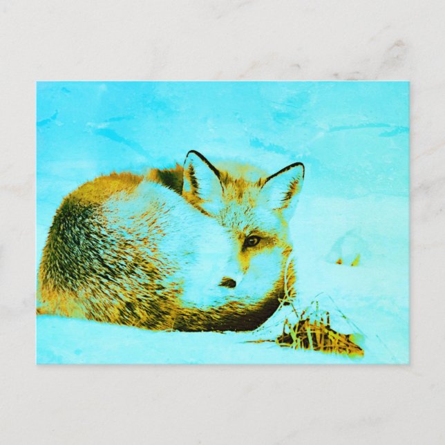 Carte Postale *~* Red Fox Ap18 Artistic Animaux Animaux (Devant)