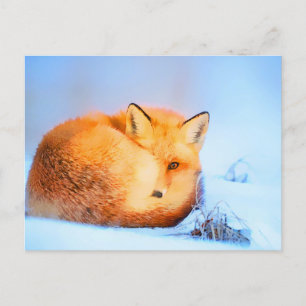 Carte Postale *~* Red Fox Ap18 Peinture artistique Faune Art