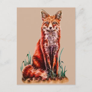 Carte Postale Red Fox Dessin Animal Art Crayon Sketch Foxy