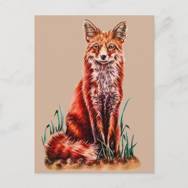Carte Postale Red Fox Dessin Animal Art Crayon Sketch Foxy (Devant)
