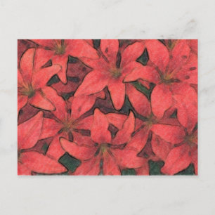Carte postale Red Lilies