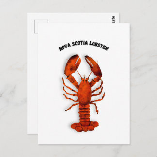 Carte Postale Red Lobster Postcard