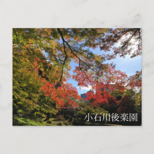 Carte Postale Red Maples au Jardin Japonais