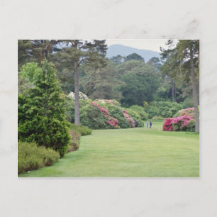 Carte Postale Red Muckross House Gardens, fleurs d'Irlande