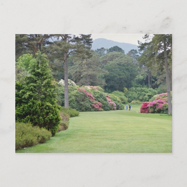 Carte Postale Red Muckross House Gardens, fleurs d'Irlande (Devant)