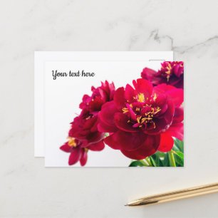 Carte postale Red Peony