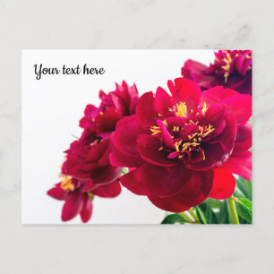 Carte postale Red Peony