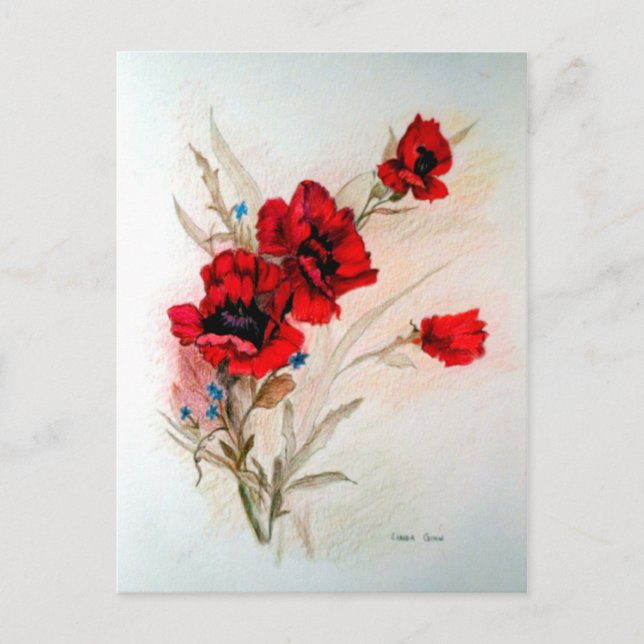 Carte Postale Red Poppies (Devant)
