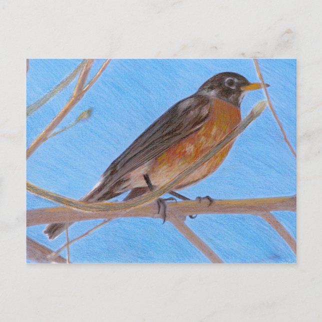 Carte postale Red Robin Fine Art Nature (Devant)