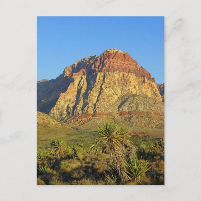 Carte Postale Red Rocks, Las Vegas Landscape Postcard (Devant)