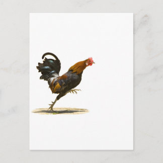 Carte Postale Red Rooster