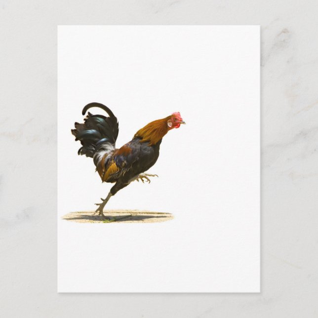 Carte Postale Red Rooster (Devant)