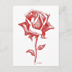 Carte Postale Red Rose Designs